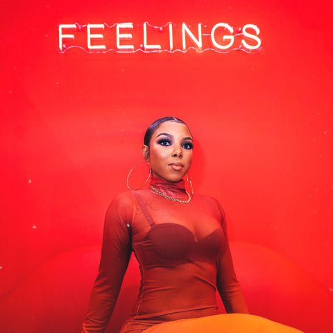 TANGERINE DREAMS SHEER DRESS